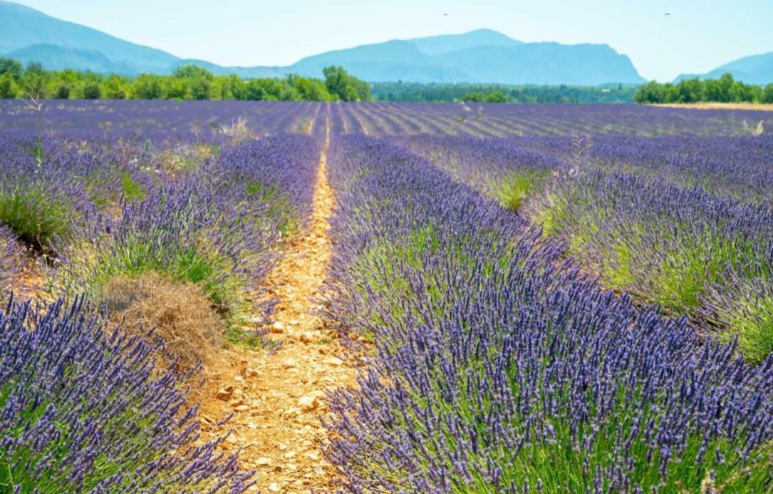 Fuvolea, Maison De Vacances A 15 Min Du Centre D'Aix-En-Provence, Piscine Chauffee En Saison - Jardin - Parking Prive Gratuit 퓌보 외부 사진